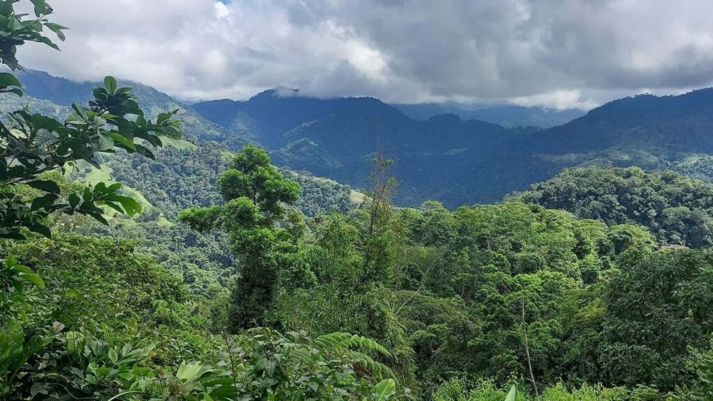 montañas en parrita