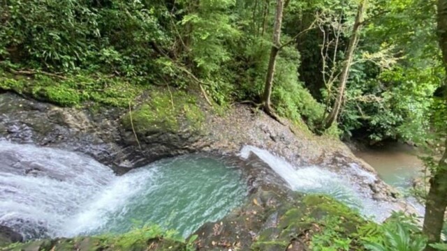 las pilas de parrita