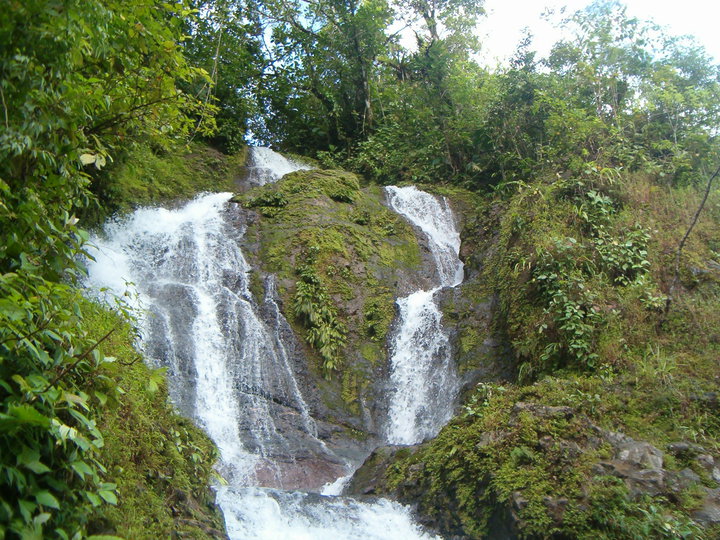 el carmen parrita 3