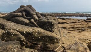 esterillos oeste-playa3