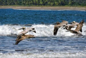 playa bejuco2