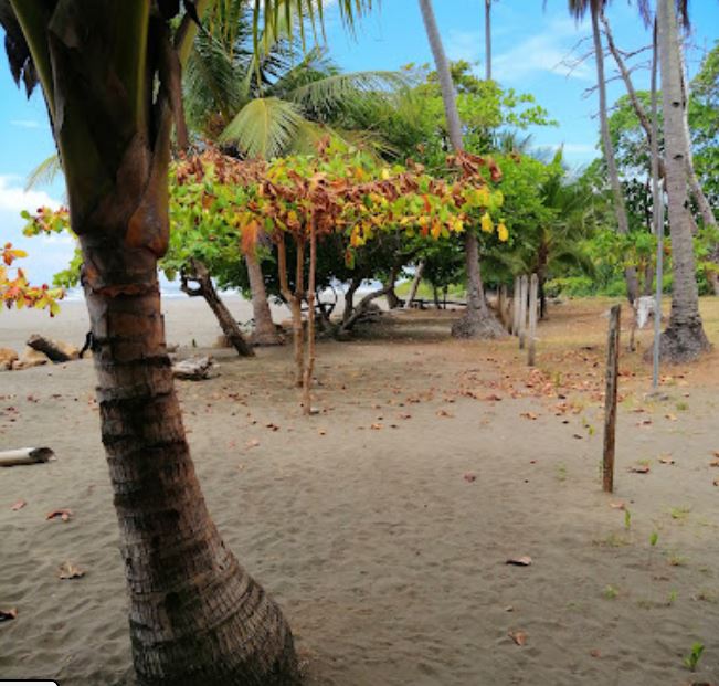 playa bejuco4