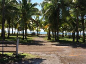 playa palo seco 2