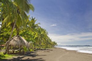 playa palo seco 4